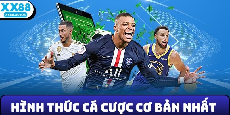 4 hình thức cá cược cơ bản nhất tại sảnh thể thao XX88